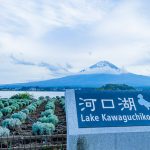 【Lake Kawaguchi】Oishi Park ＆ Fuji Oishi Hanaterrace – The Spectacular Location by Mt. Fuji & Lake Kawaguchi