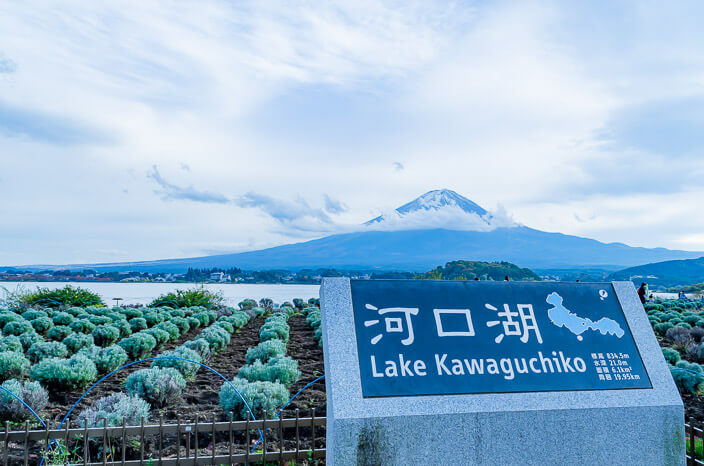 【Lake Kawaguchi】Oishi Park ＆ Fuji Oishi Hanaterrace – The Spectacular Location by Mt. Fuji & Lake Kawaguchi