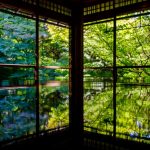【Kyoto】Rurikoin Temple – Stunned by its beauty, Ruri Garden