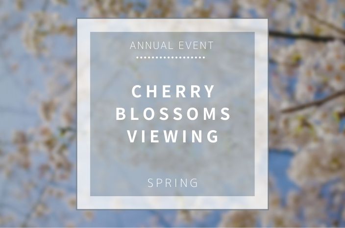 【Annual Event】Cherry Blossoms Viewing  – SAKURA SAKURA SAKURA!