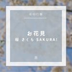 【年中行事】お花見 – 桜 さくら SAKURA!