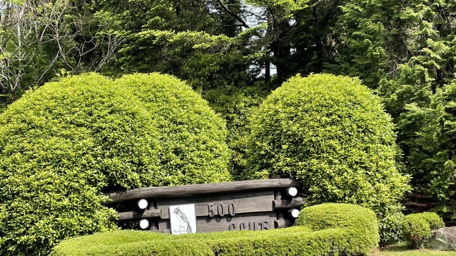 【Shizuoka】Five Hundred Club ｰ A prestigious golf course where you can play while loving Mt. Fuji throughout the year